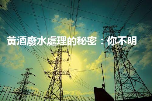 黃酒廢水處理的秘密：你不明白的環(huán)保技術(shù)突破！